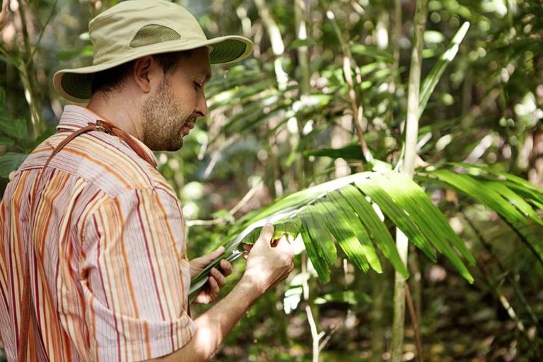 Is It Hard To Become An Environmental Scientist