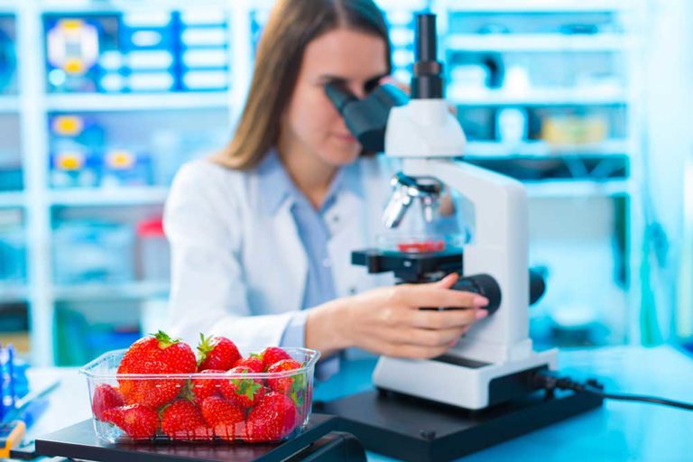 What Does A Food Scientist Do And How To Become A Food Scientist 