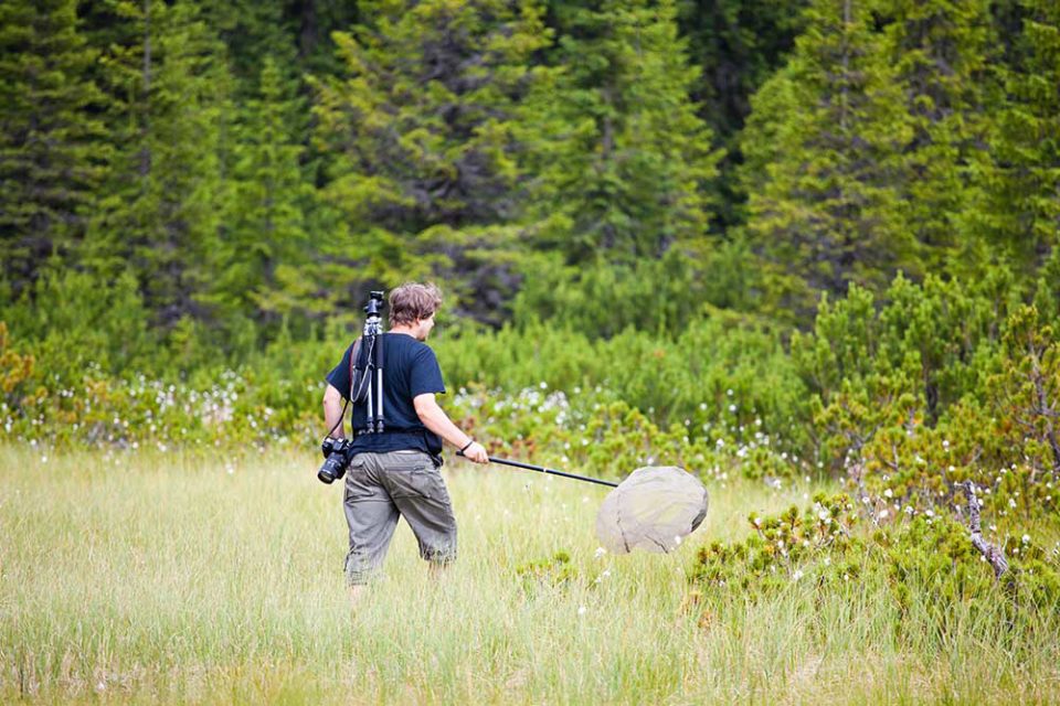 how-much-do-wildlife-biologists-make-horne-gallis